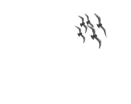 Creation of Polyoramatropolis: Step 6